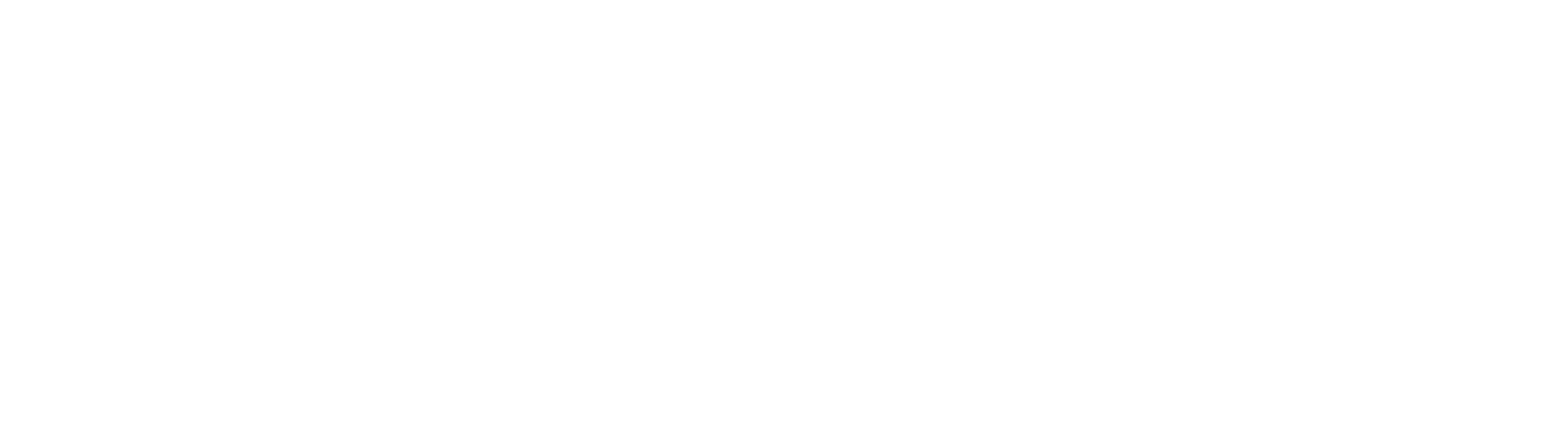 Logo Credível_branco